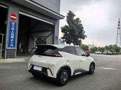 BYD Seagull Glory Edition 305km Vitality Version - ფოტო 10