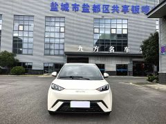 BYD Seagull Glory Edition 305km Vitality Version - ფოტო 11