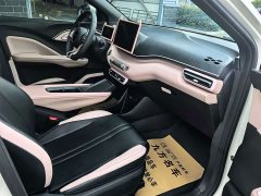 BYD Seagull Glory Edition 305km Vitality Version - ფოტო 2