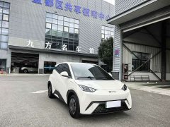 BYD Seagull Glory Edition 305km Vitality Version - ფოტო 5
