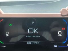 BYD Seagull Glory Edition 305km Vitality Version - ფოტო 7
