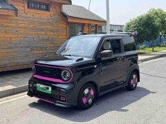Geely Panda 210km Panda Kart - ფოტო 1