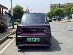 Geely Panda 210km Panda Kart - ფოტო 2