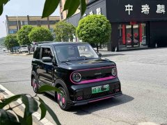 Geely Panda 210km Panda Kart - ფოტო 3