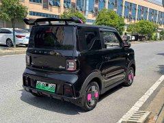 Geely Panda 210km Panda Kart - ფოტო 5