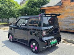 Geely Panda 210km Panda Kart - ფოტო 6