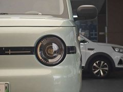 BYD Panda 2025 Panda Mini 210km Vitality Edition - ფოტო 2