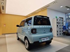 BYD Panda 2025 Panda Mini 210km Vitality Edition - ფოტო 20