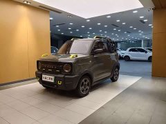 Geely Panda 200km Panda Knight - ფოტო 1