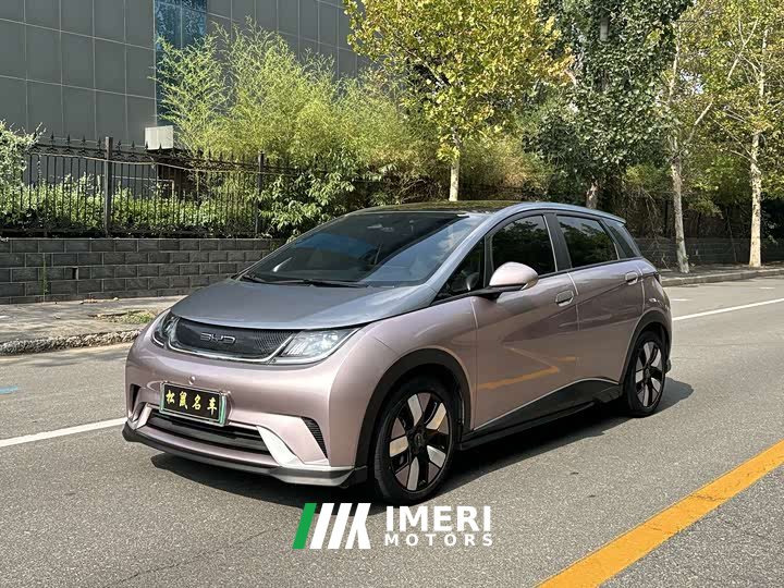 BYD Dolphin 401km Knight Edition - ავტომობილი ჩინეთიდან