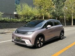 BYD Dolphin 401km Knight Edition - ფოტო 1