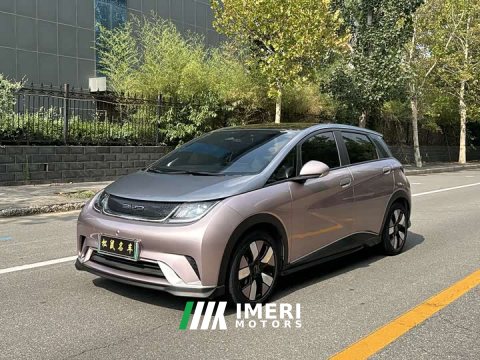 2023 BYD Dolphin 401km Knight Edition - ავტომობილი ჩინეთიდან