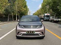BYD Dolphin 401km Knight Edition - ფოტო 2