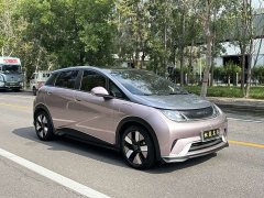 BYD Dolphin 401km Knight Edition - ფოტო 3
