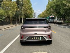 BYD Dolphin 401km Knight Edition - ფოტო 8