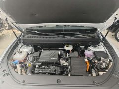 BYD Song Pro New Energy 2024 DM-i 71KM Glory Edition Pilot - ფოტო 15