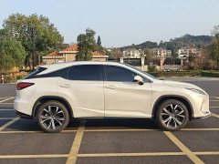 Lexus RX 2020 300 AWD Elegance National VI - ფოტო 6