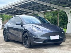 Tesla Model Y Rear-Wheel Drive - ფოტო 3