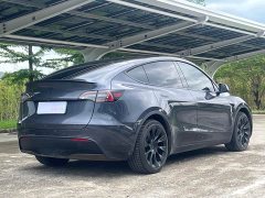 Tesla Model Y Rear-Wheel Drive - ფოტო 5