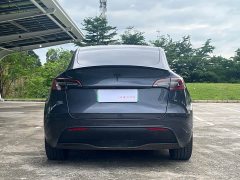 Tesla Model Y Rear-Wheel Drive - ფოტო 6