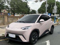 BYD Seagull 305km Freedom Edition - ფოტო 1