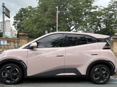 BYD Seagull 305km Freedom Edition - ფოტო 2