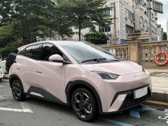 BYD Seagull 305km Freedom Edition - ფოტო 4