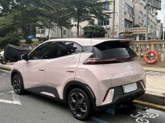 BYD Seagull 305km Freedom Edition - ფოტო 6