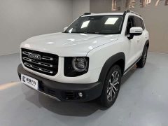 Great Wall Dachshund 2.0T DCT Two-Wheel Drive Chinese Hunting Dog Edition - ფოტო 1