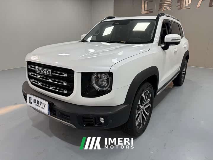 Great Wall Dachshund 2.0T DCT Two-Wheel Drive Chinese Hunting Dog Edition