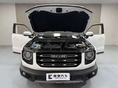 Great Wall Dachshund 2.0T DCT Two-Wheel Drive Chinese Hunting Dog Edition - ფოტო 14