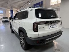 Great Wall Dachshund 2.0T DCT Two-Wheel Drive Chinese Hunting Dog Edition - ფოტო 6