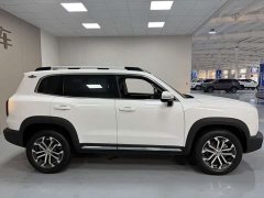 Great Wall Dachshund 2.0T DCT Two-Wheel Drive Chinese Hunting Dog Edition - ფოტო 9