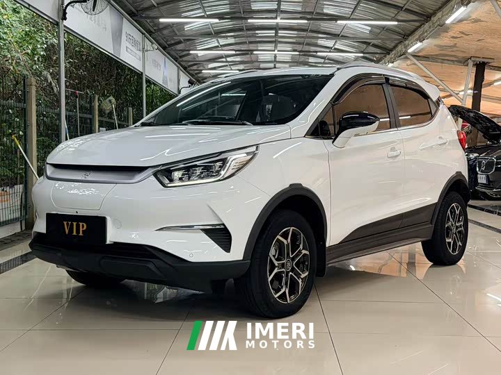 BYD Yuan Pro 2021 401KM Deluxe - ავტომობილი ჩინეთიდან