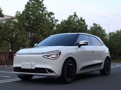 Dongfeng Nano 01 330 Plus - photo 1