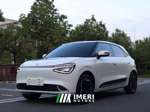 2024 Dongfeng Nano 01 330 Plus - ავტომობილი ჩინეთიდან