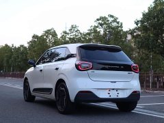Dongfeng Nano 01 330 Plus - photo 4