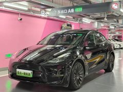 Tesla Model Y Standard Range RWD - ფოტო 1