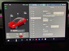 Tesla Model Y Standard Range RWD - ფოტო 11