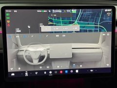 Tesla Model Y Standard Range RWD - ფოტო 14