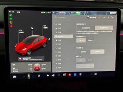 Tesla Model Y Standard Range RWD - ფოტო 15