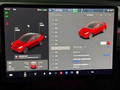 Tesla Model Y Standard Range RWD - ფოტო 18