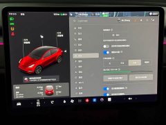 Tesla Model Y Standard Range RWD - ფოტო 19