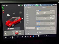 Tesla Model Y Standard Range RWD - ფოტო 20