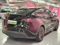 Tesla Model Y Standard Range RWD - ფოტო 6