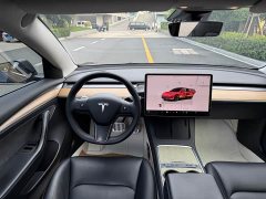 Tesla Model 3 2022 Rear-Wheel Drive - ფოტო 13