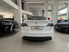Tesla Model Y 2022 Facelift Rear-Wheel Drive - ფოტო 10