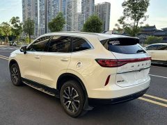 Haval H6 Third Generation 1.5T Automatic Two-Wheel Drive Max - ფოტო 15