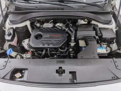 Hyundai Santa Fe 2020 380 TGDi Automatic 2WD DLX Prestige Plus - ფოტო 6