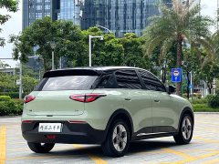 Geely Xing Yuan UP 410km Explorer Edition - ფოტო 6